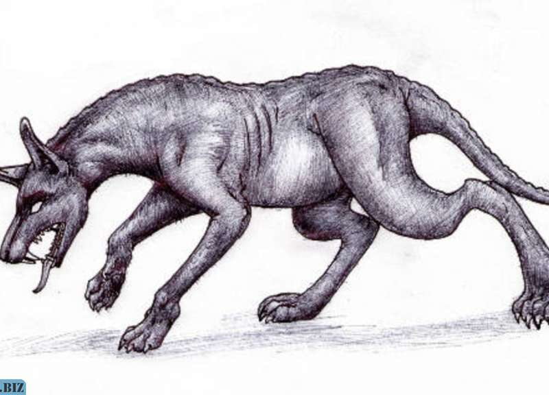 870970cbfc9dd38bbd0029f1d0c3f769 1