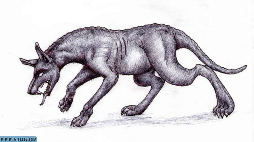 870970cbfc9dd38bbd0029f1d0c3f769 1