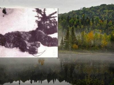 Странная история с самой старой известной фотографией убитого йети 23 89272457