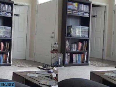 Призрак ходит по дому 22 90d5256fcd01add87c03920c7e2189fd 1