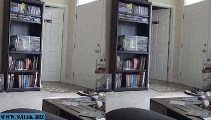 90d5256fcd01add87c03920c7e2189fd 1