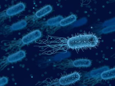 Загадочная болезнь убила девушку в Нигерии. Более 30 человек госпитализированы 24 93667427