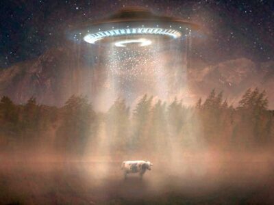 На следующий день после наблюдения НЛО фермер нашел изувеченное тело коровы 21 95392723