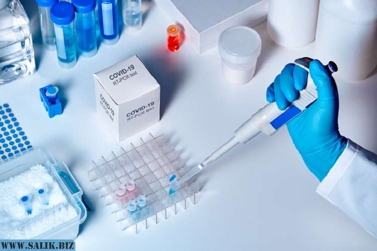 96ee7346f8b50299887a2217dba8e819 1