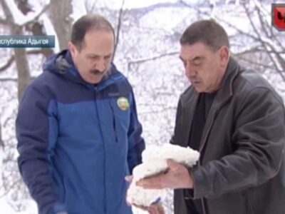 Адыгейцы сняли на видео 200-килограммового лохматого снежного человека (видео) 22 Adygejtsy snyali na video 200 kilogrammovogo lohmatogo jeti 640x360 1