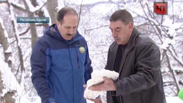 Adygejtsy snyali na video 200 kilogrammovogo lohmatogo jeti 640x360 1