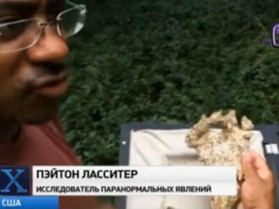 Amerikanets edva spassya ot snezhnogo cheloveka