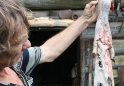 CHupakabra dobralas do Vazhin