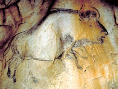 Dokazano sushhestvovanie multiplikatsii v kamennom veke