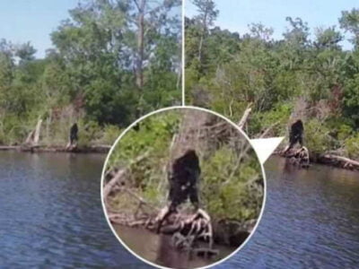 Rybak zapechatlel poyavlenie snezhnogo cheloveka