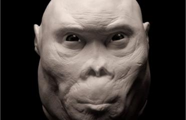 Ученые обнаружили параллельную ветвь эволюции человека 22 Uchenye obnaruzhili parallelnuyu vetv evolyutsii cheloveka