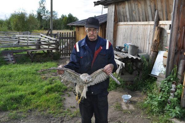 V Kortkerosskom rajone pojmali chupakabru