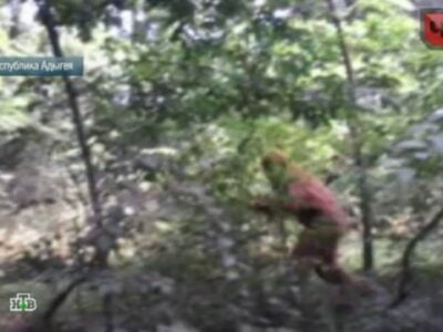 Жители Адыгеи с камерами охотятся на снежного человека и изучают странные следы 24 ZHiteli Adygei s kamerami ohotyatsya na snezhnogo cheloveka