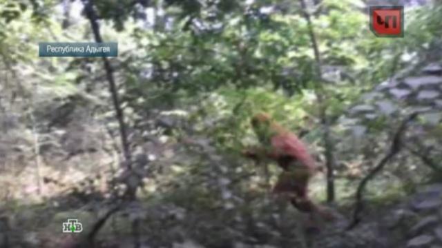 ZHiteli Adygei s kamerami ohotyatsya na snezhnogo cheloveka