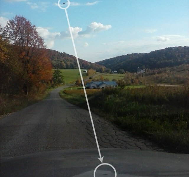 ZHitelnitsa Pensilvanii pytaetsya vyyasnit