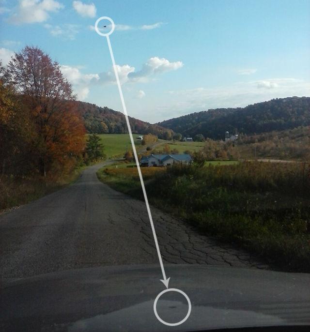 ZHitelnitsa Pensilvanii pytaetsya vyyasnit