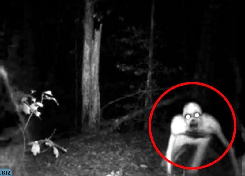 accb29b6a130c158421a71a569c8a572 1