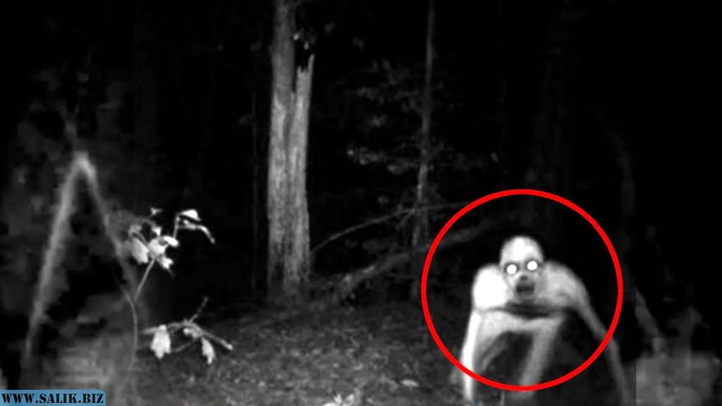 accb29b6a130c158421a71a569c8a572 1