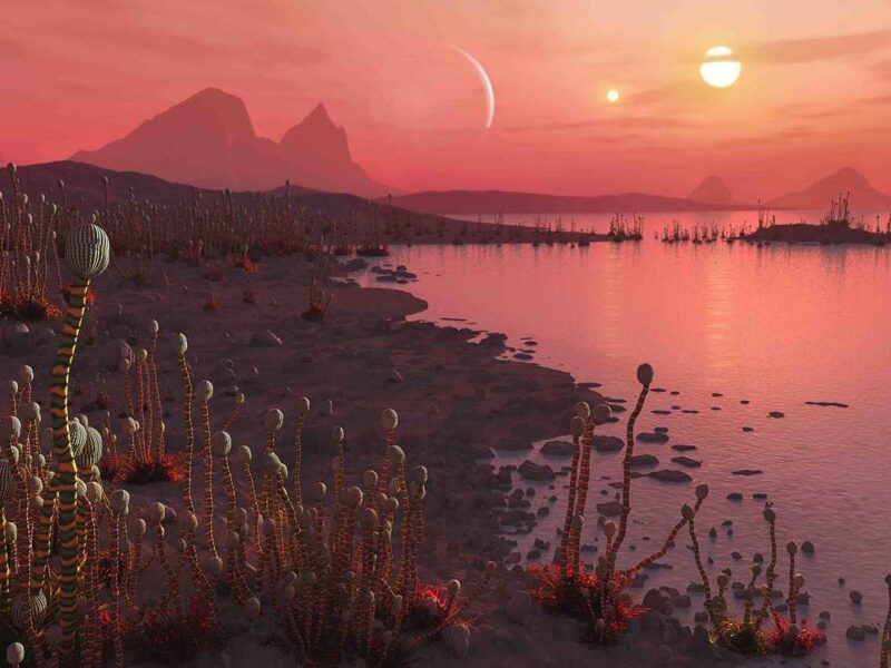 addad61e00359d603d02f76fa195891e