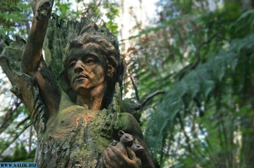         Откуда в Австралии взялись вросшие в камни и деревья скульптуры, изображающие местных аборигенов				            
