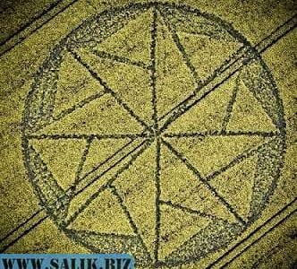 В английском графстве Уилтшир обнаружены рисунки на поле 26 ba8f8a334816b4b81003fc6a8ec32337 1