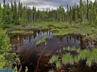 bae4e572f0ac88323f69db6bf67f84a8 1