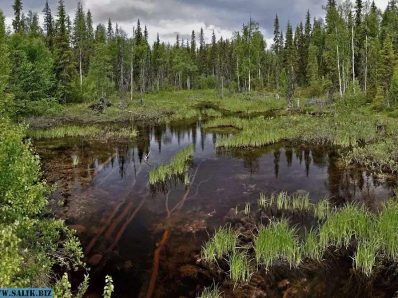 bae4e572f0ac88323f69db6bf67f84a8 1