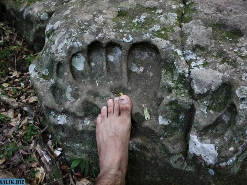 bbd727ce783085bdcd723c3c9d5949d2 1