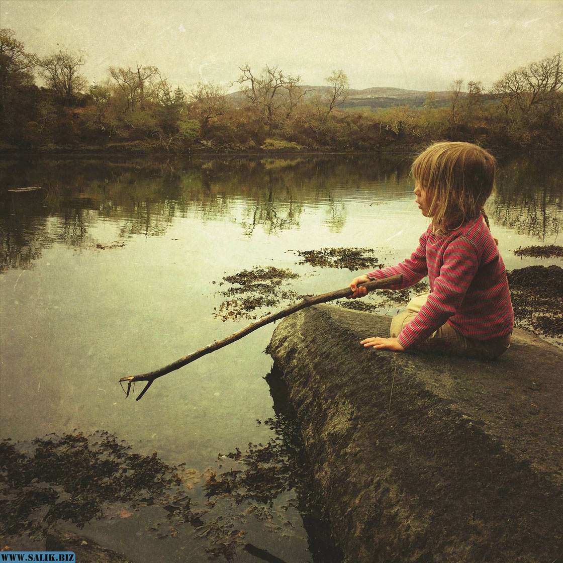 bcea7b2d5033a4d7c07a336d778a0690 1