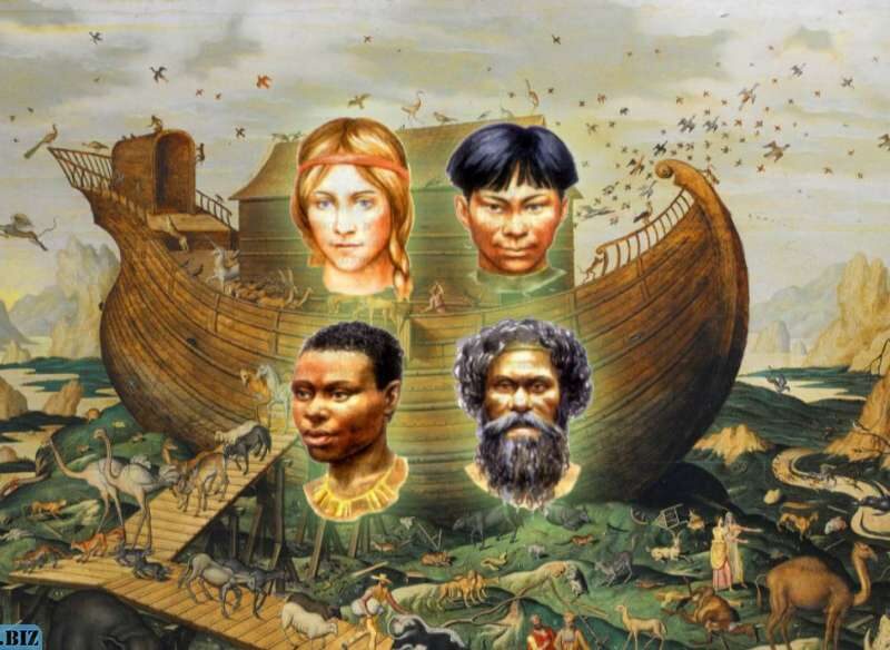 c2d918e7ad1993c5a7e3fcf3090d1721 1