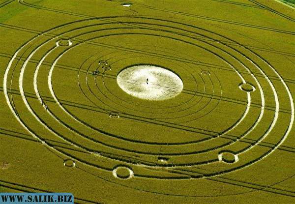         Учёные изучили круги на полях в попытке определить их источник				            