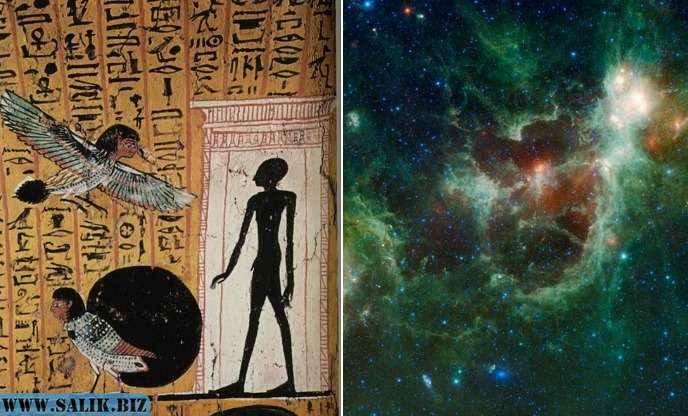 c7391f81df5c0601458c772421ae7f0d 1