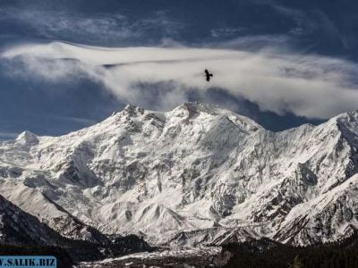 ce5301001334cdd714443edbf6f02d22 1