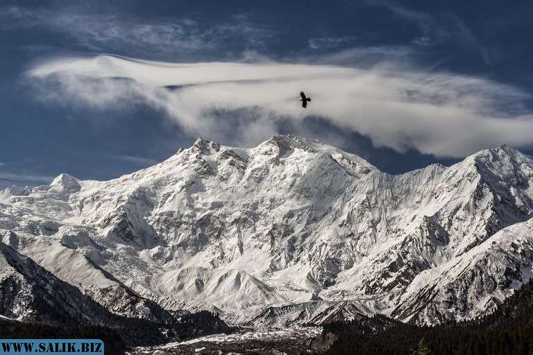         В ледниках Тибетского нагорья обнаружили десятки новых вирусов возрастом до 15 тысяч лет				            