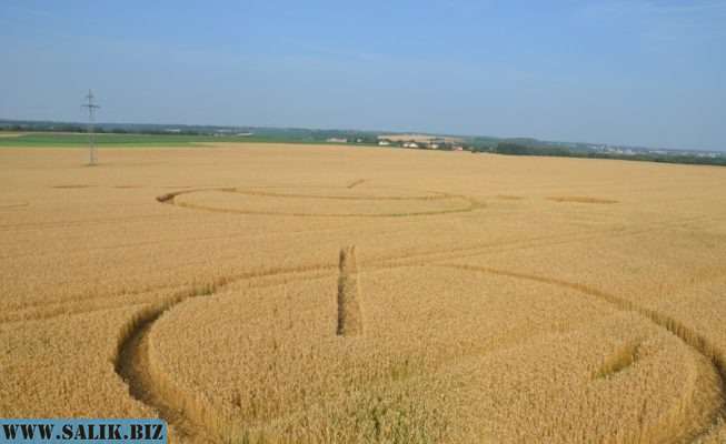 cfe352a2e2181418cff59361ba2c696c 1