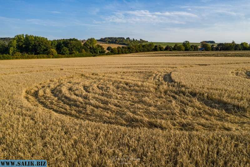         Рисунок на поле в графстве Уилтшир, Великобритания				            