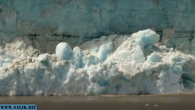         С моделью что-то не так: подо льдом Гренландии найдены древние растения				            