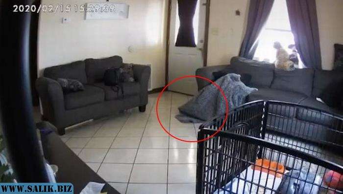 d7c931b6944794c431de5534ba4ea191 1