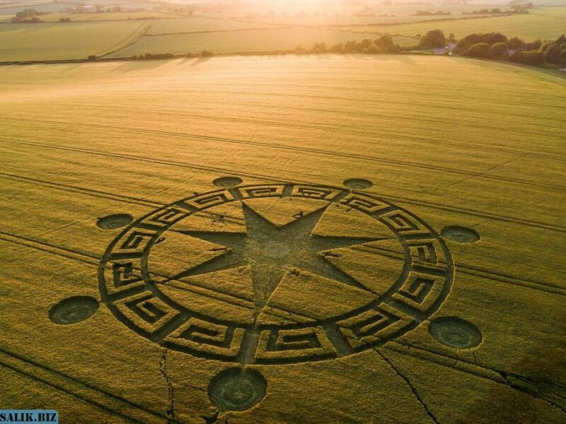 d9d9c2e083d84f0352ab3ad185cb11ab 1