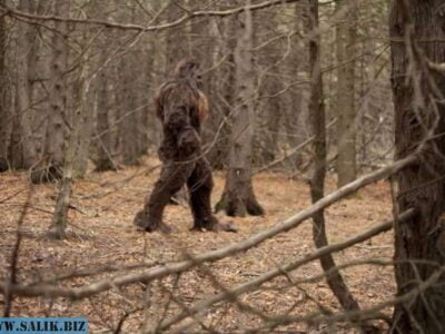 db046d17b45448bd601c362c3fce3355 1