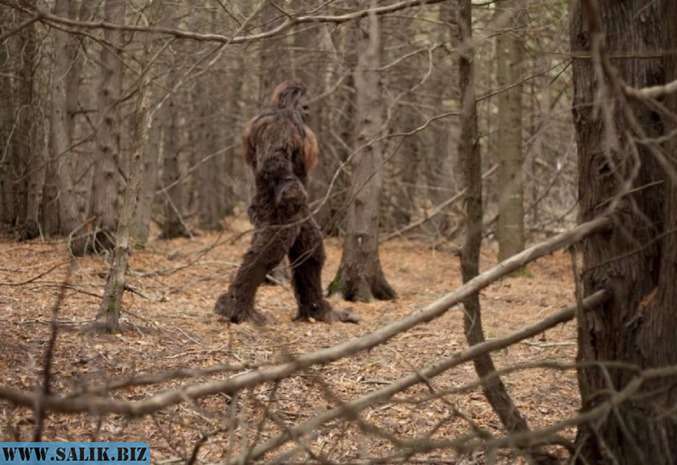 db046d17b45448bd601c362c3fce3355 1