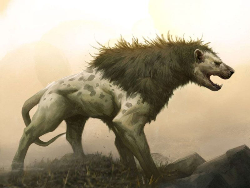 dc93347aec05400e3758124d25ba65ba 1