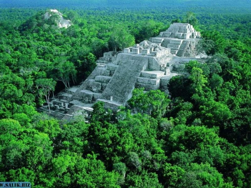 df12c71518a957afdd5c35f428ceb3c5 1