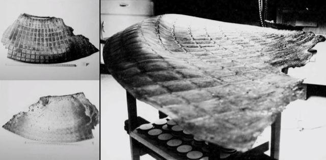 Обломки НЛО с места крушения в Канаде показаны в рассекреченных материалах 18 disclosure ufo debris ufo crash canada