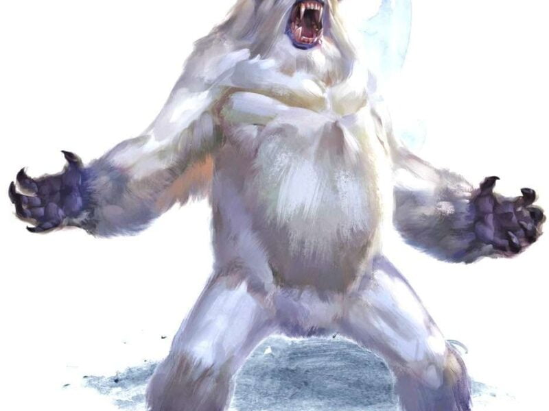 ea307e2d7de7ae44bfb344bac5d93652 1