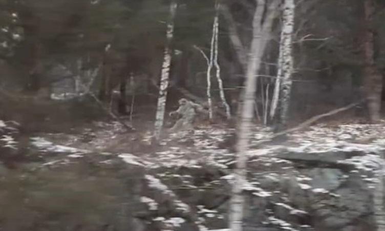 esrpic 5fe4c4c06d25b1