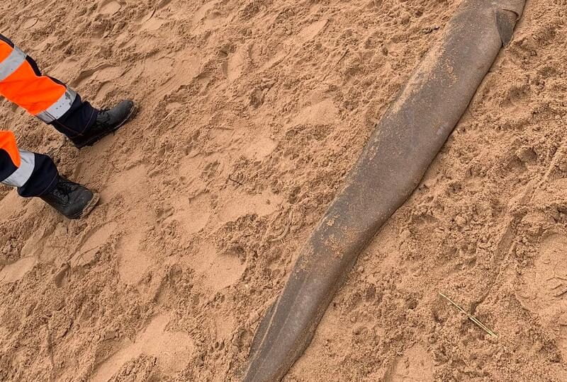 esrpic 5ff55df82485d1