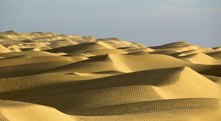 esrpic 6069a0447b4c71