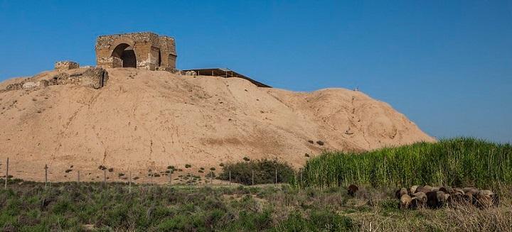 esrpic 60f6708fa33ed1