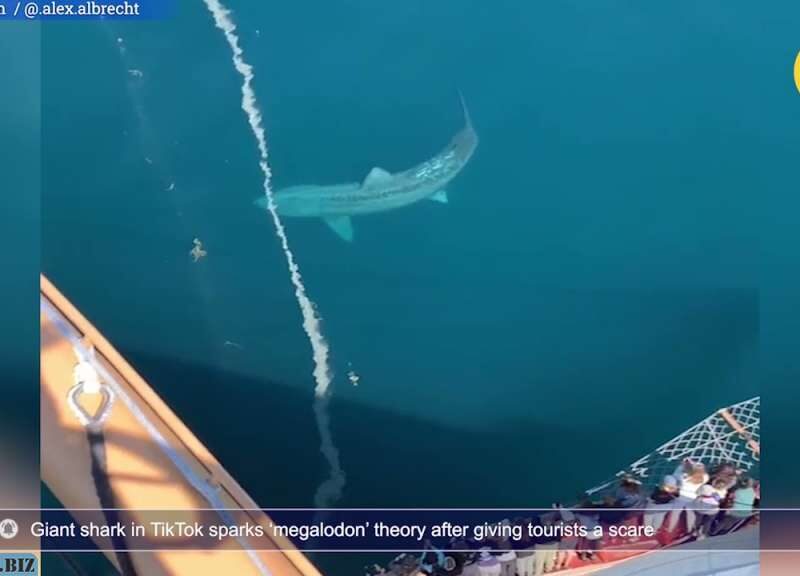 f3c50efab28da01394eff6f792601a72 1